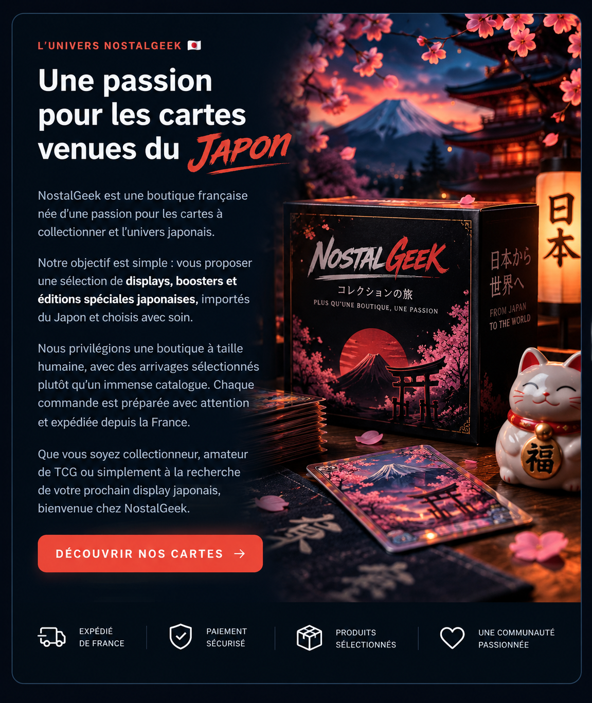 Qui sommes-nous : l'histoire de NostalGeek, boutique française passionnée de cartes japonaises